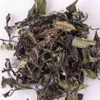 松溪小白茶特点功效及品质分析