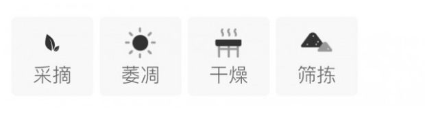 小白银针（建阳白茶）制作工艺.png