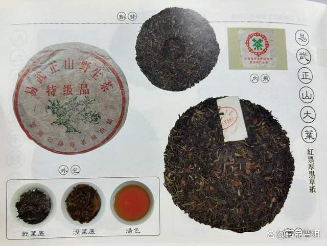 99绿大树红票批次，1999年易武正山大叶，一棵被遗忘的绿大树
