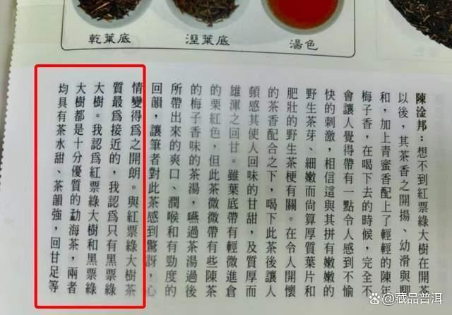 99绿大树红票批次，1999年易武正山大叶，一棵被遗忘的绿大树