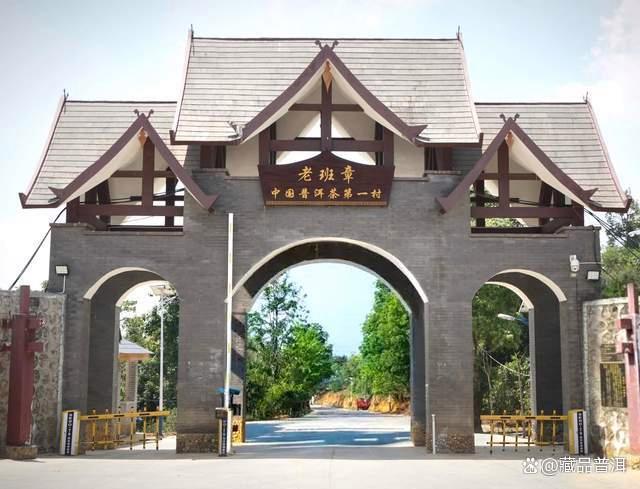 陈升号班章拼配茶标杆：2012年首批金班章，用料优异，品质出彩