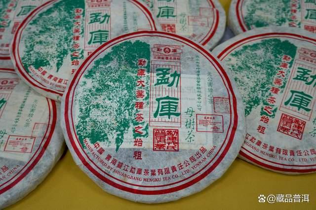 详解勐库戎氏“经典三杰”：乔木王、母树茶、茶魂，你都喝过吗？