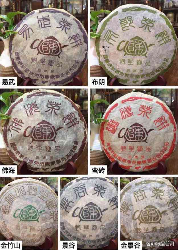 昌泰2004年茶壶陈金竹山，华山论茶公认第一，野生景谷茶标杆！