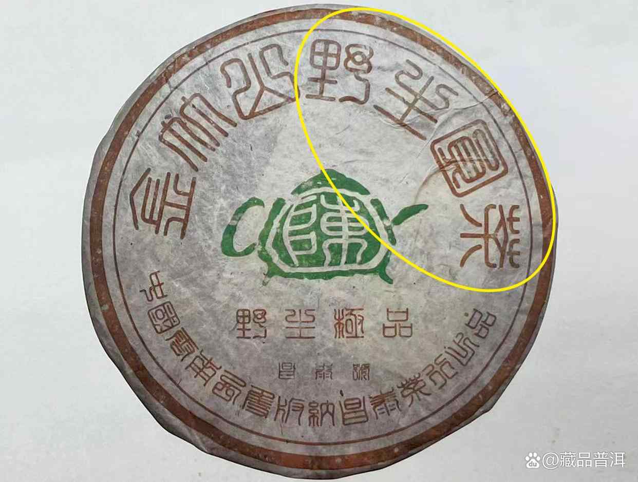 昌泰2004年茶壶陈金竹山，华山论茶公认第一，野生景谷茶标杆！
