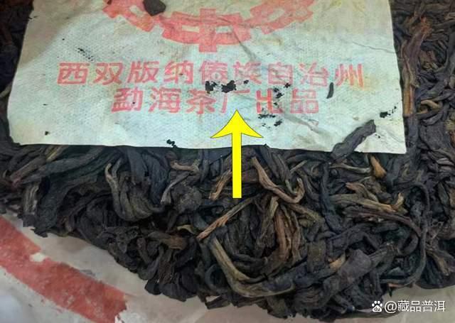 97水蓝印：公认的88青饼接班人！市场仿品众多，如何鉴定真伪？