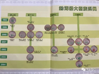 2003年易武正山野生茶的版本如何辨别?行家盘点4大细节!纯干货 2003年易武正山野生茶的版本如何辨别?行家盘点4大细节!纯干货