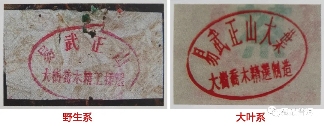 2003年易武正山野生茶的版本如何辨别?行家盘点4大细节!纯干货 2003年易武正山野生茶的版本如何辨别?行家盘点4大细节!纯干货