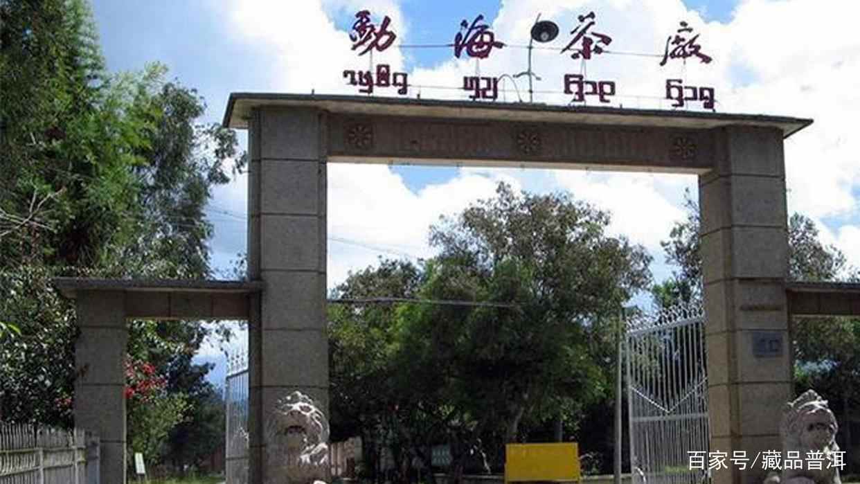 选购普洱茶，渠道很重要！新手应选什么渠道？老茶客这样说