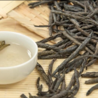 苦丁茶