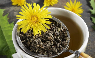 蒲公英茶.png 蒲公英茶.png
