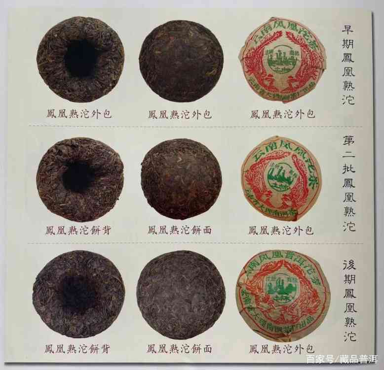 凤凰沱茶真好味:盘点凤凰沱的诞生、品类与细节特征 凤凰沱茶真好味:盘点凤凰沱的诞生、品类与细节特征