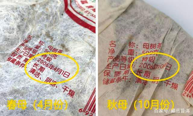 勐库戎氏母树茶好不好?经典2006年勐库戎氏春母、秋母对比 勐库戎氏母树茶好不好?经典2006年勐库戎氏春母、秋母对比