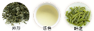 青城雪芽外观特点.png 青城雪芽外观特点.png