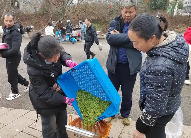 普安春茶采收繁忙乌牛早茶香飘四海 brand_alt_mark