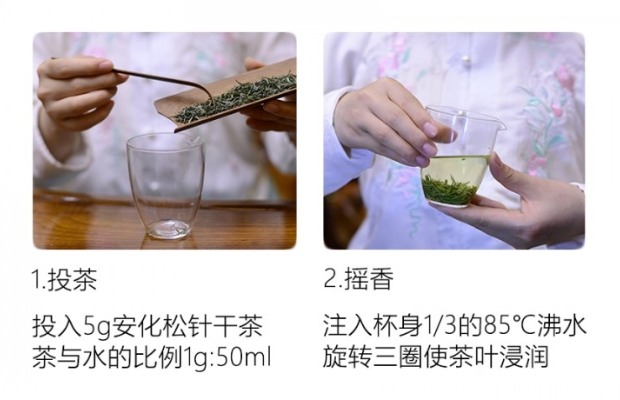 安化松针的冲泡方法1.jpg 安化松针茶的功效作用与冲泡方法详解