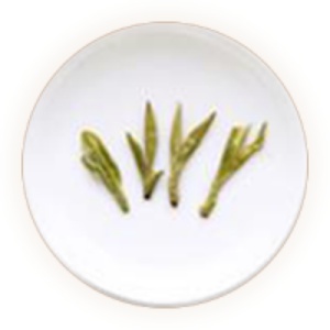 花果山云雾茶的叶底.jpg 花果山云雾茶的叶底.jpg