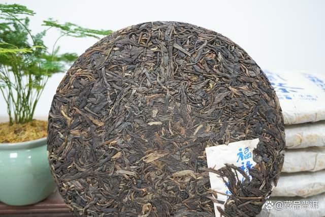 邓时海解读普洱茶越陈越香与普洱韵的传承之路