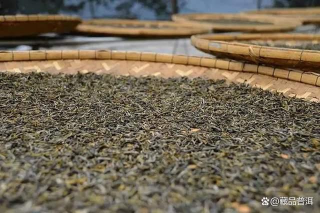 普洱茶基础知识全解析:生茶熟茶区别与正确冲泡方法 普洱茶基础知识全解析:生茶熟茶区别与正确冲泡方法