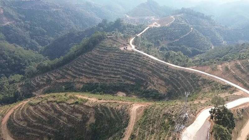 梧州岑溪茶文旅融合发展壮大生态茶园产业促农增收 brand_alt_mark