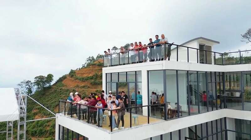 梧州岑溪茶文旅融合发展壮大生态茶园产业促农增收 brand_alt_mark