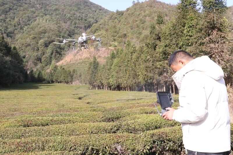植保无人机助力茶园春季管理 147亩欧标茶园实现增产增收 brand_alt_mark
