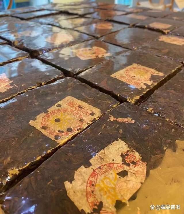 99易昌号黄片砖品鉴体验 野生易武大树茶的山野风范