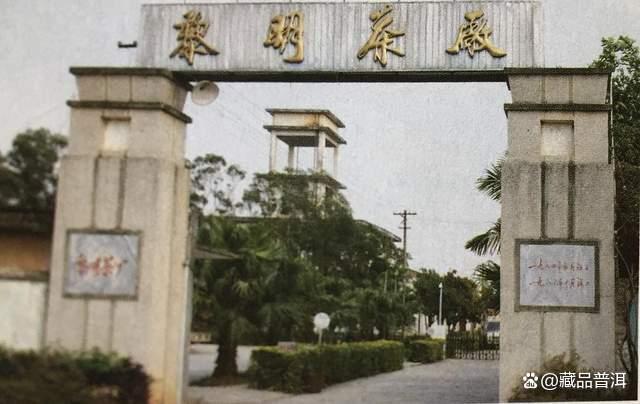 下关与八角亭普洱茶对比分析 哪个品牌更适合你 下关与八角亭普洱茶对比分析 哪个品牌更适合你