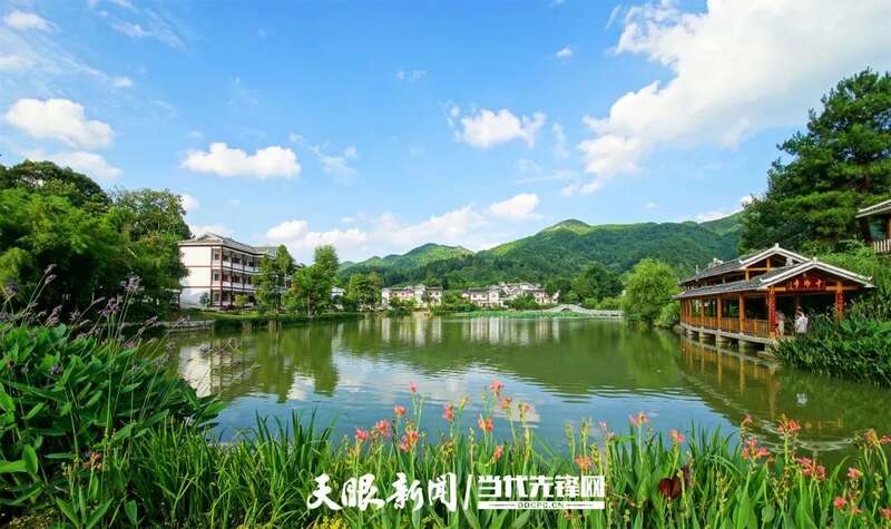 湄潭县茶产业再获全国第一 连续五年蝉联茶业重点县域榜首 brand_alt_mark