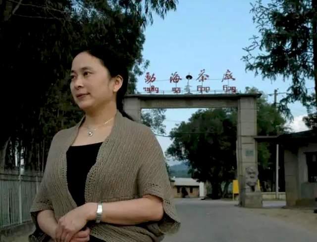 2002年紫大益7572熟饼深度解析：工艺特点与市场价格分析