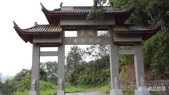 普洱茶五大核心产区深度解析，品味一山一味独特魅力
