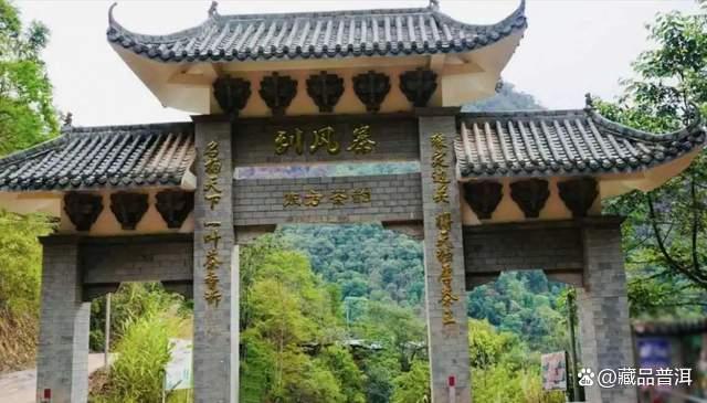 普洱茶五大核心产区深度解析，品味一山一味独特魅力