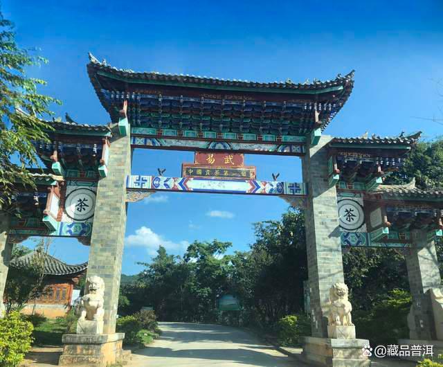 普洱茶五大核心产区深度解析，品味一山一味独特魅力