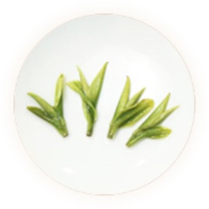 天目湖白茶的叶底.jpg 天目湖白茶的叶底.jpg