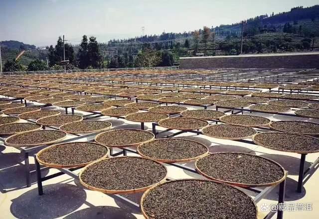 普洱茶为什么越陈越香？收藏价值高的茶叶具备三大特征