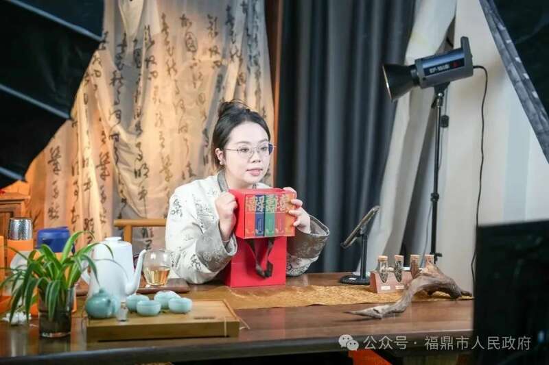 福鼎白茶借力电商平台备战春节档 销售额突破亿元大关 brand_alt_mark