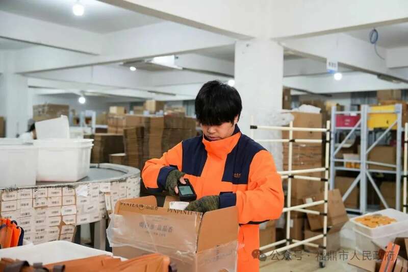 福鼎白茶借力电商平台备战春节档 销售额突破亿元大关 brand_alt_mark