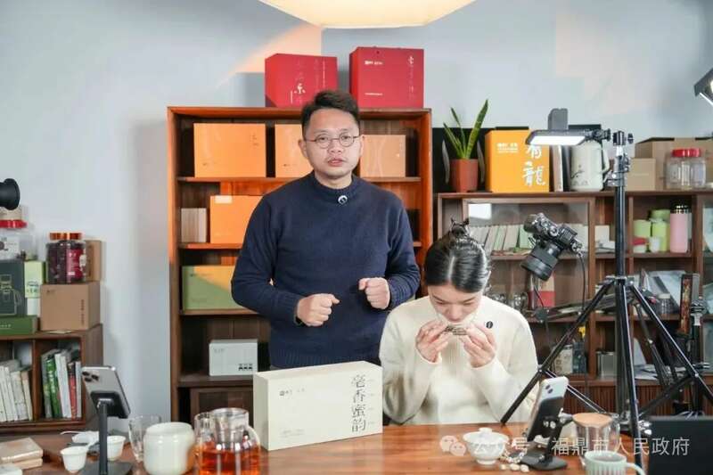 福鼎白茶借力电商平台备战春节档 销售额突破亿元大关 brand_alt_mark