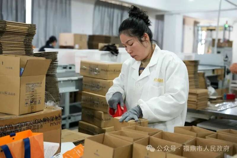 福鼎白茶借力电商平台备战春节档 销售额突破亿元大关 brand_alt_mark