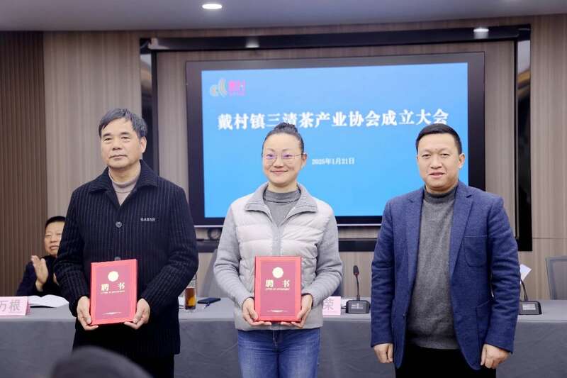 萧山戴村镇三清茶产业协会正式成立 推动茶叶产业抱团发展 brand_alt_mark