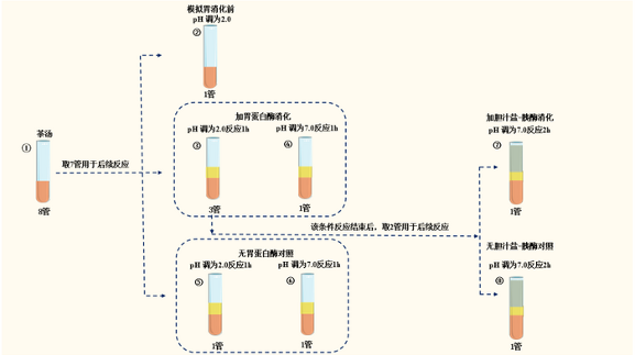 干茶与速溶茶粉哪个营养更好?研究揭示消化吸收真相 速溶茶粉和干茶的营养真相(附适合人群指南)