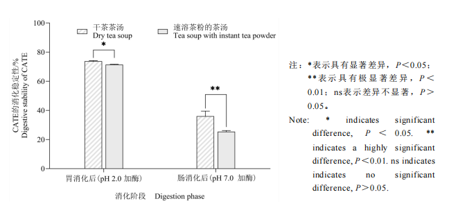 干茶与速溶茶粉哪个营养更好?研究揭示消化吸收真相 速溶茶粉和干茶的营养真相(附适合人群指南)
