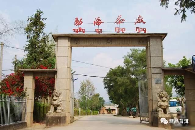 勐海茶厂定制茶三大经典系列,绿大树大白菜金银大益品鉴指南 勐海茶厂定制茶三大经典系列,绿大树大白菜金银大益品鉴指南