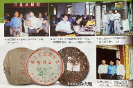 勐海茶厂定制茶三大经典系列,绿大树大白菜金银大益品鉴指南 勐海茶厂定制茶三大经典系列,绿大树大白菜金银大益品鉴指南