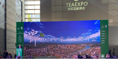 陕西西乡县茶产业发展成效显著 打造"五色汉茶"新格局 brand_alt_mark