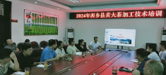 陕西西乡县茶产业发展成效显著 打造"五色汉茶"新格局 brand_alt_mark