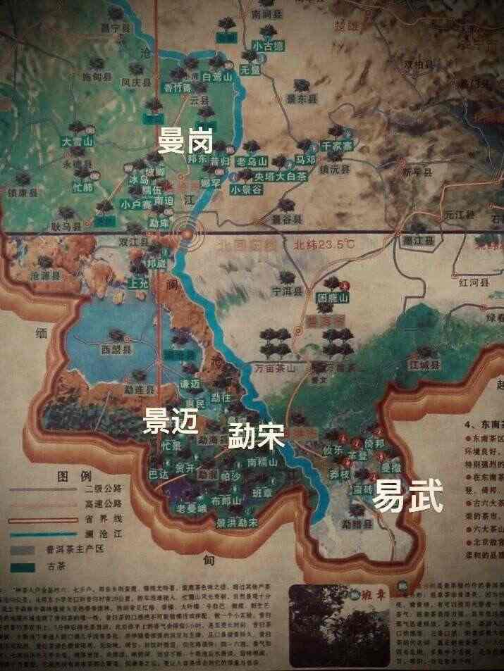 老同志蛇年生肖熟饼江耀金鳞震撼上市,古树普洱茶香醇厚回甘 brand_alt_mark