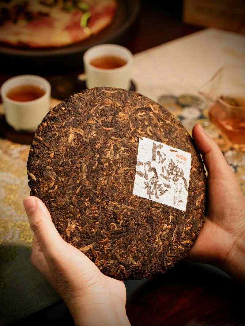 老同志蛇年生肖熟饼江耀金鳞震撼上市,古树普洱茶香醇厚回甘 brand_alt_mark