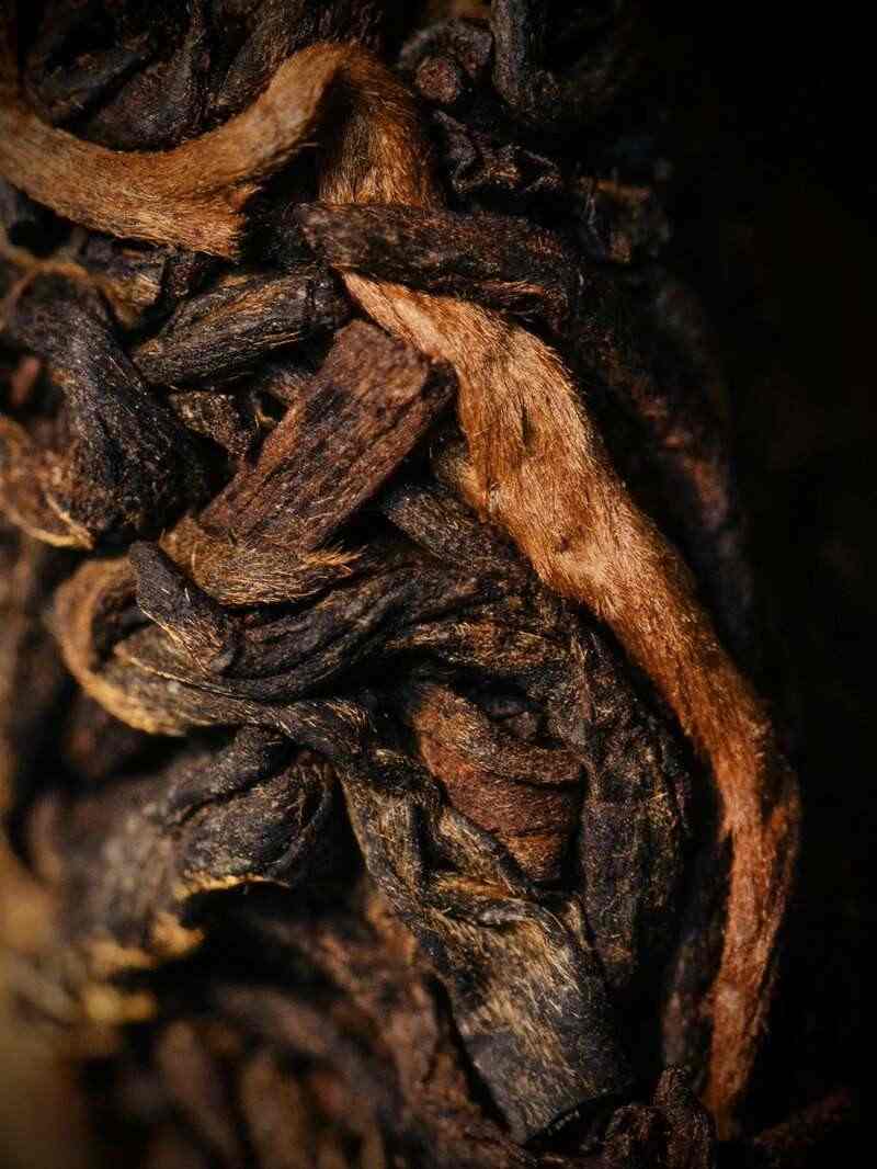 老同志蛇年生肖熟饼江耀金鳞震撼上市,古树普洱茶香醇厚回甘 brand_alt_mark