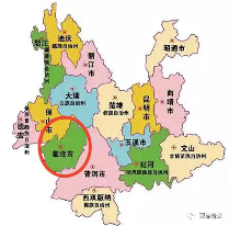 临沧普洱茶产区深度解析：勐库十八寨与冰岛茶的独特魅力