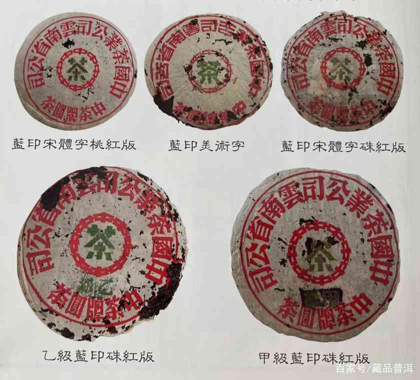 蓝印圆茶的传奇历史与独特魅力解析